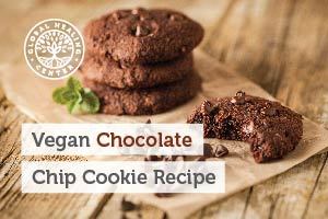 Gluten-Free, Vegan Chocolate Chip Cookie Recipe  Written by Dr. Group, DC Founder of Global Healing